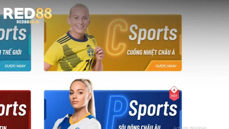 Khái quát về sảnh cược C Sports