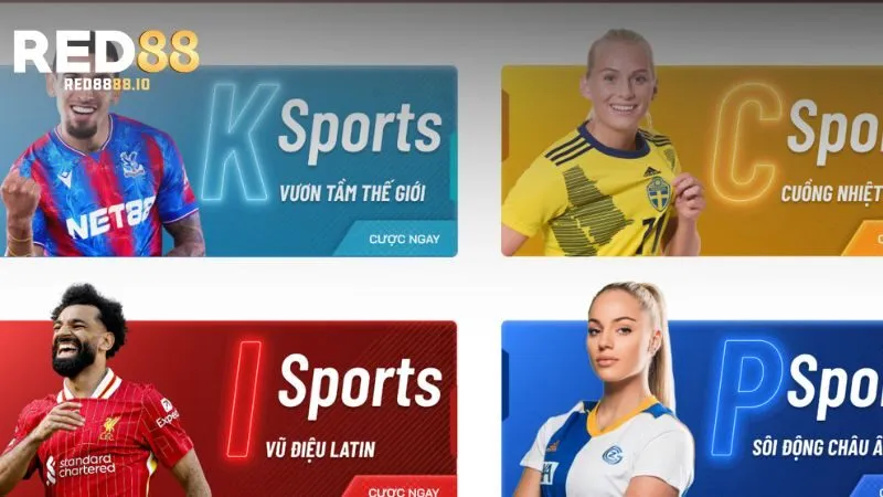 Tổng quan về K Sports
